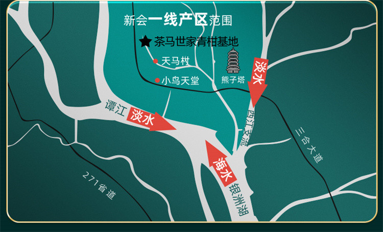 茶马世家 茶叶新会小青柑正宗新会陈皮柑11年礼盒300g