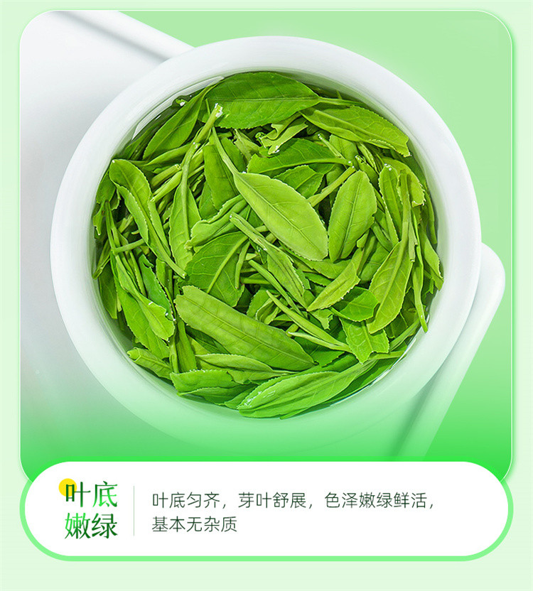 茶马世家 2024早春蒸青绿茶特级罐装70g