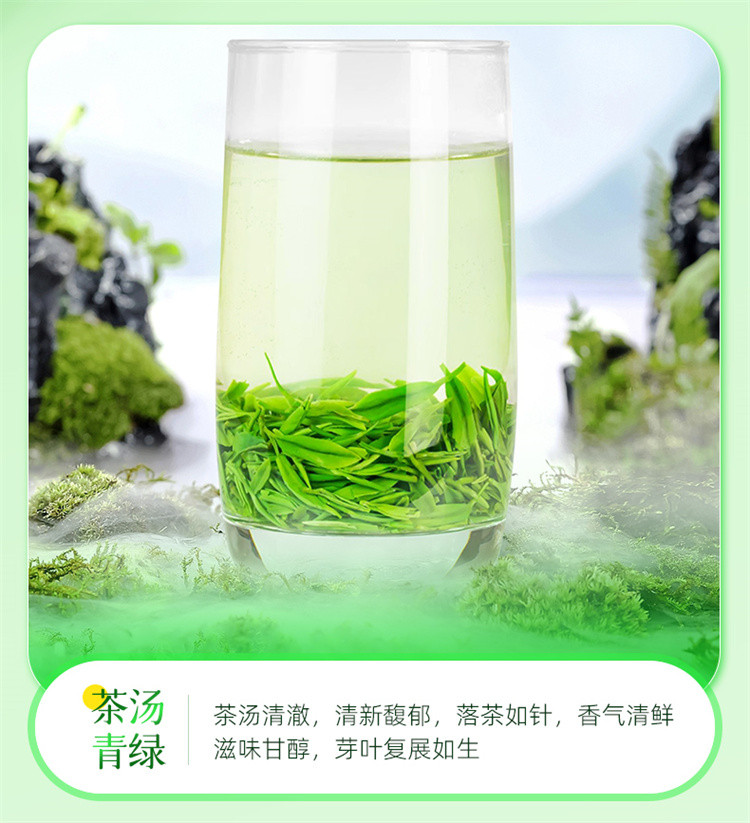 茶马世家 2024早春蒸青绿茶特级罐装70g