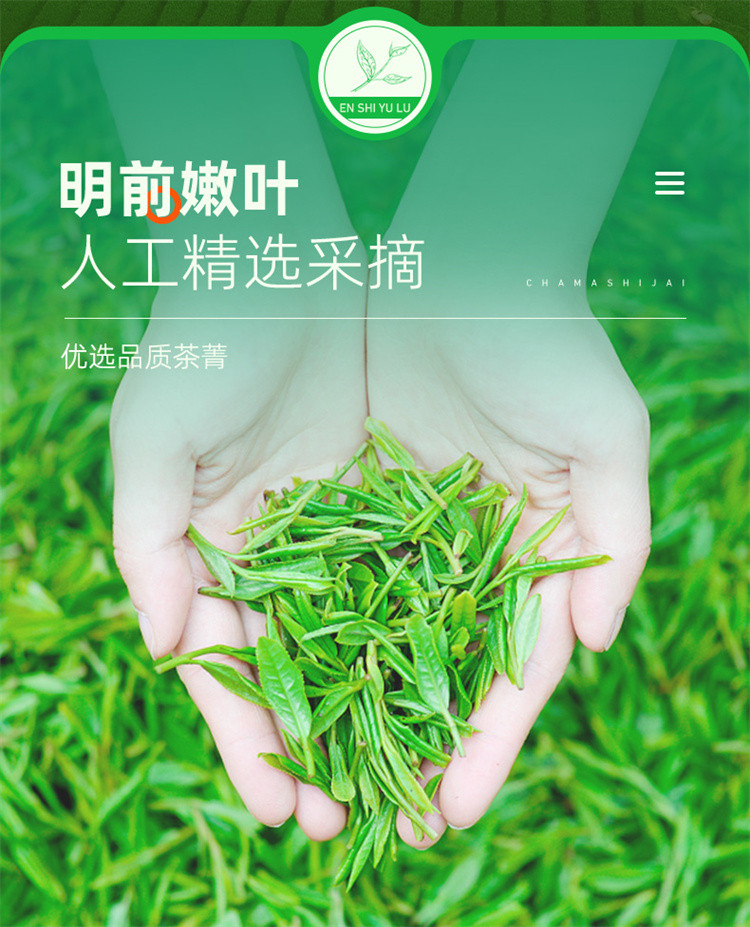 茶马世家 2024明前春茶春和系马口铁时尚礼盒200g