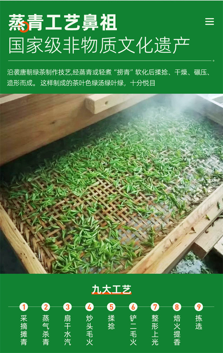 茶马世家 2024明前春茶春和系马口铁时尚礼盒200g