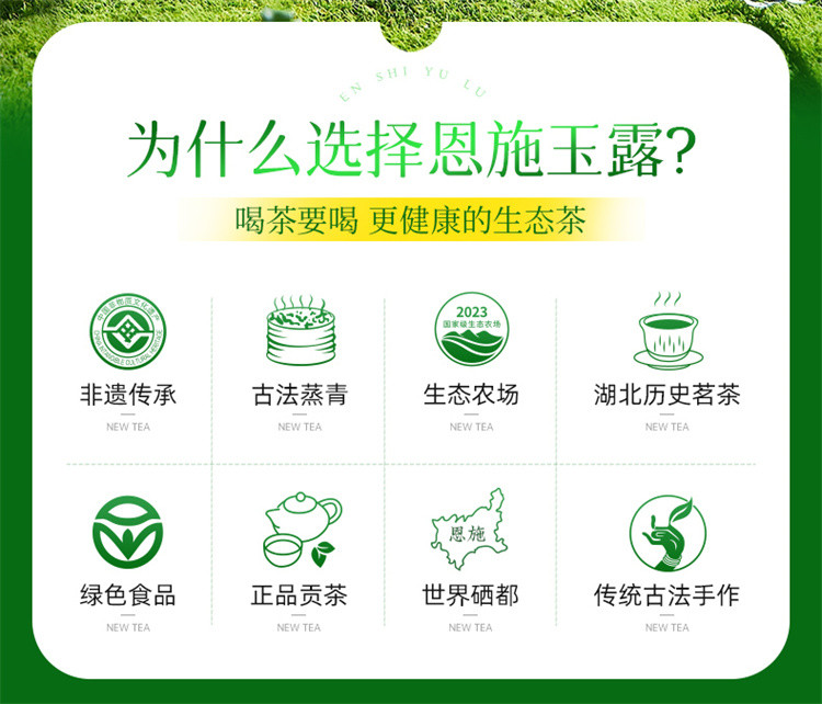 茶马世家 2024早春蒸青绿茶特级罐装70g