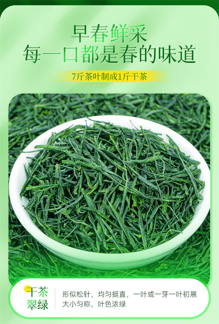 茶马世家 2024早春蒸青绿茶特级罐装70g