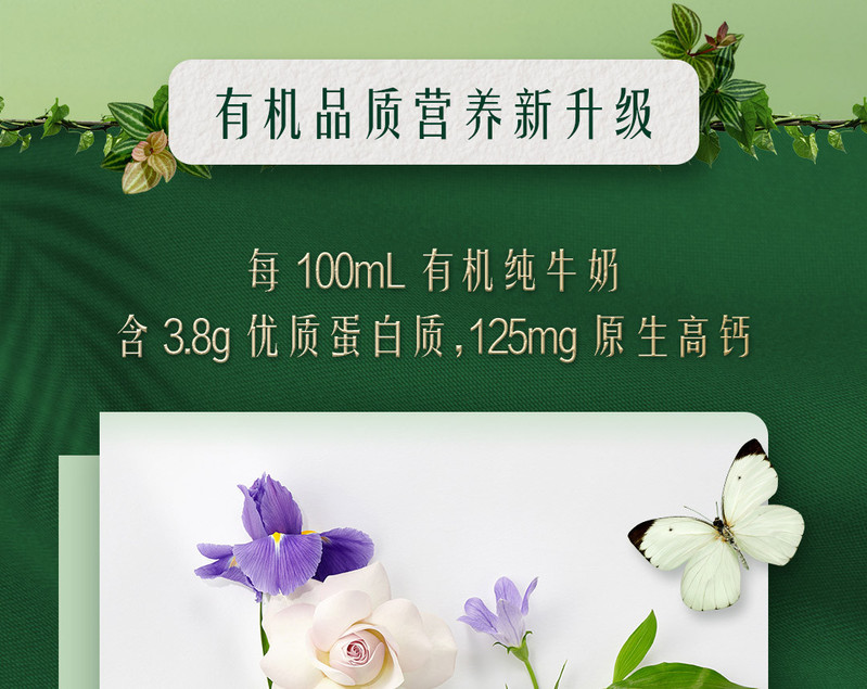 特仑苏 有机纯牛奶梦幻盖（3.8g乳蛋白）250ml*10