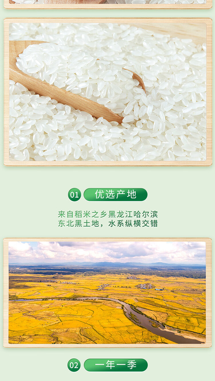 十月稻田 长粒香大米5kg