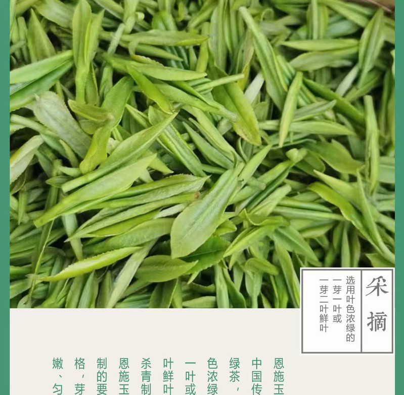 山水人家 （中邮甄优）2024玉露绿茶（实惠装250g）