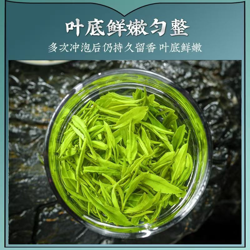 山水人家 （中邮甄优）2024玉露绿茶（品鉴装100g）