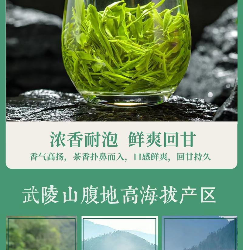 山水人家 （中邮甄优）2024玉露绿茶（实惠装250g）