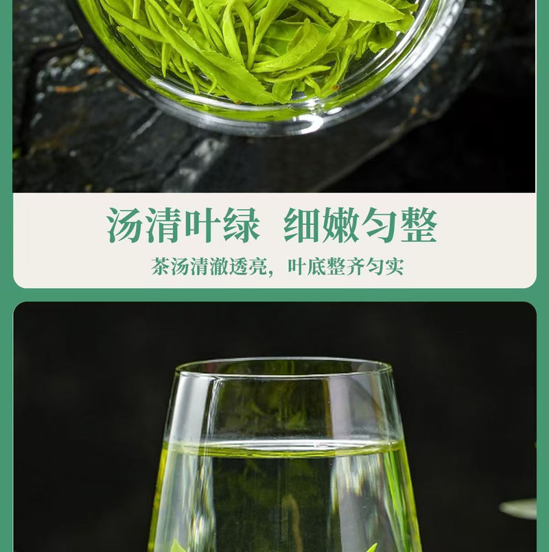 山水人家 （中邮甄优）2024玉露绿茶（实惠装250g）