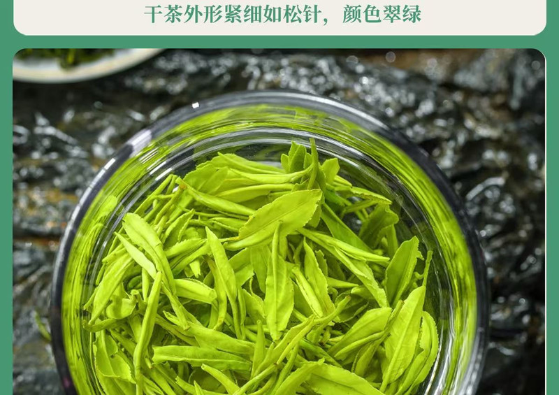 山水人家 （中邮甄优）2024玉露绿茶（实惠装250g）