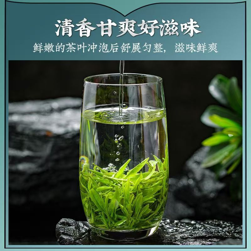 山水人家 （中邮甄优）2024玉露绿茶（品鉴装100g）