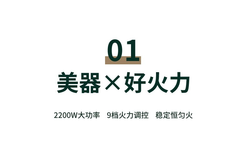 荣事达电陶炉电磁炉家用2200大功率炒菜爆炒火锅电炉灶小 9档温控 均匀加热 C22-280TA 绿