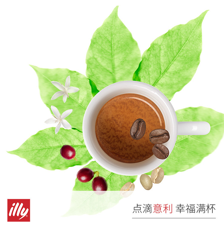 意利（illy）意式拼配深度烘焙 阿拉比卡咖啡豆250g 意大利进口