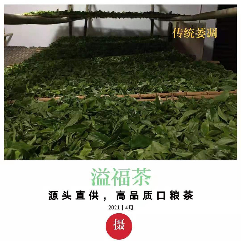 《水沐茶业》2019年云南普洱茶梅子箐古树老茶头熟茶180克/罐