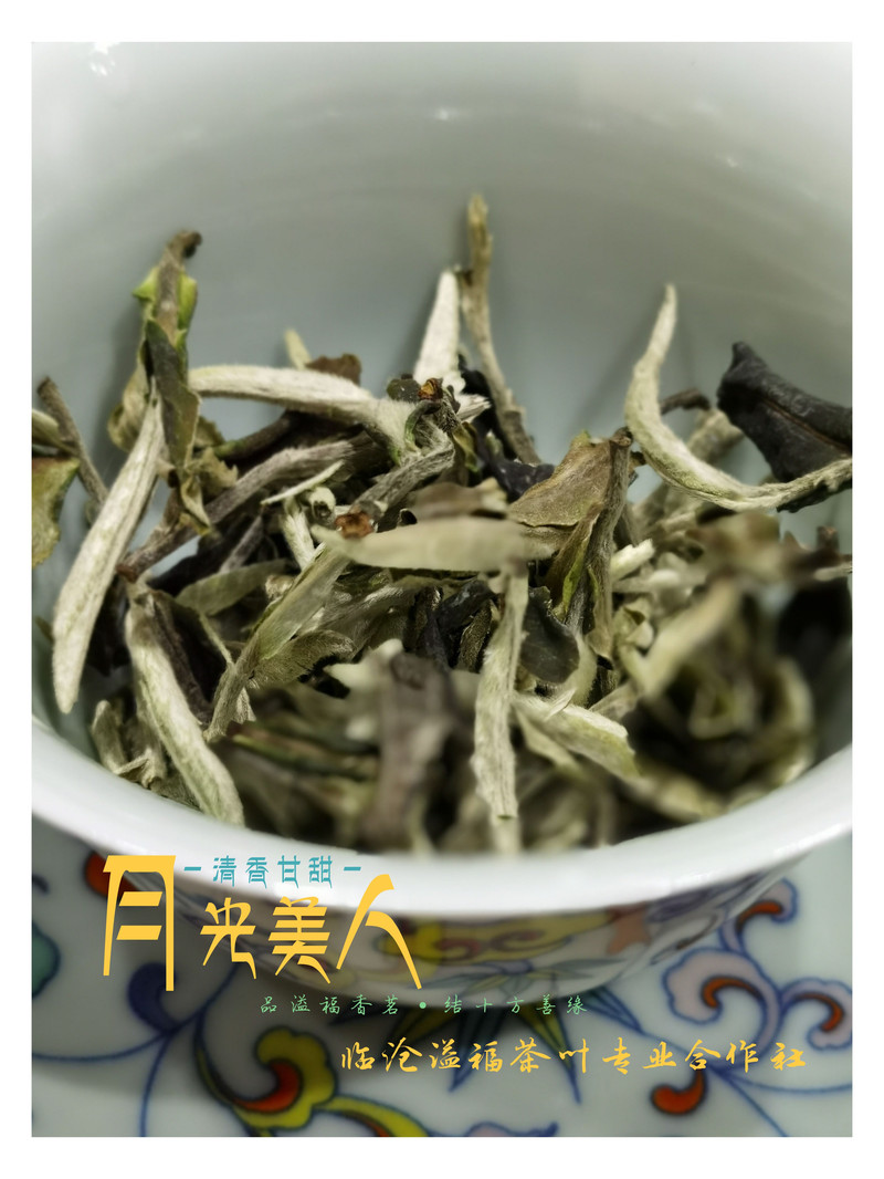 《水沐茶业》2022年云南白茶老树月光白茶