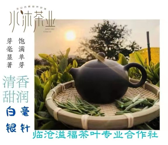 《水沐茶业》云南白茶特级白毫银针明前头采单芽 60克