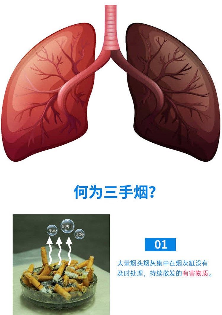 灭烟神器烟灰缸除烟味烟无味清洁神器灭烟沙烟灰清洁剂空气清新剂