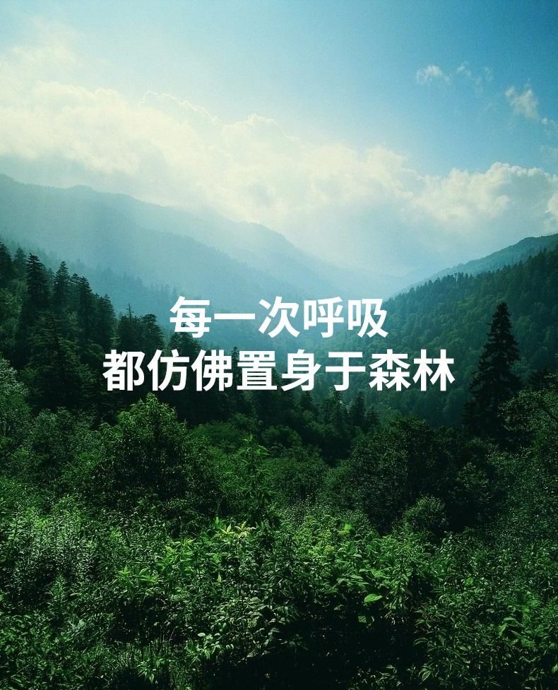 车载空气净化器汽车除甲醛车用消.除异味车内除味去香薰清新等离子