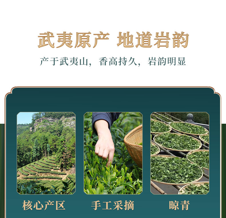 鲜山叔 武夷山茶叶浓香型大红袍250g/1罐