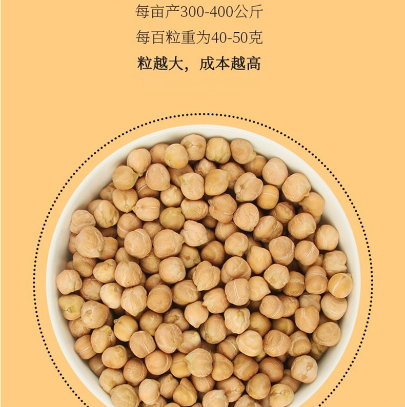 鲜山叔  新疆鹰嘴豆500g/1袋