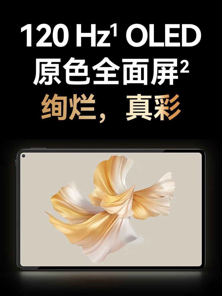 华为/HUAWEI  MatePad Pro 11英寸 120Hz高刷全面屏 影音娱