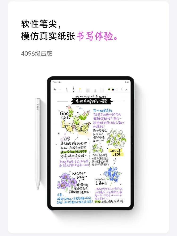 小米/MIUI 平板6Pro 11英寸高刷屏学生网课游戏平板电脑 WiFi版