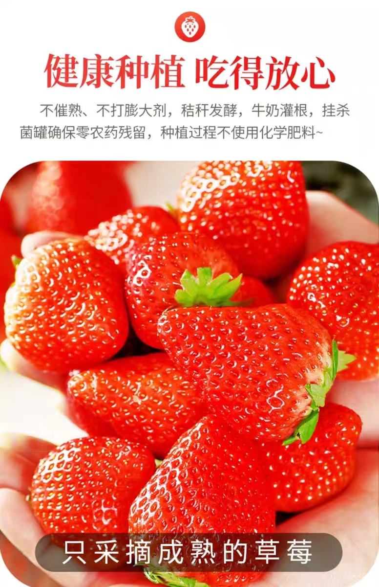 农家自产  新鲜水果  奶油草莓3斤装