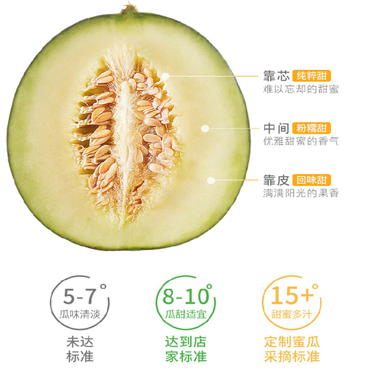  解府  海阳网纹蜜瓜2.25kg新鲜采摘
