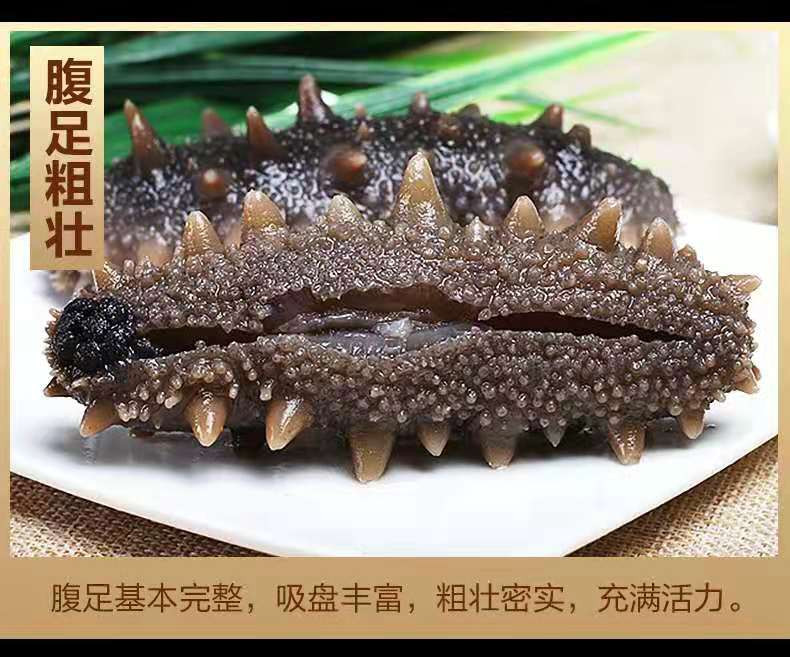 解府长岛野生即食海参250g 10-15只