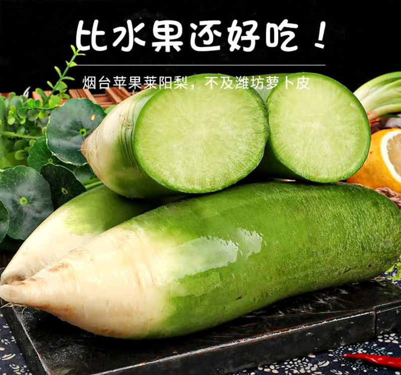 解府 潍县水果萝卜5斤装新鲜采摘