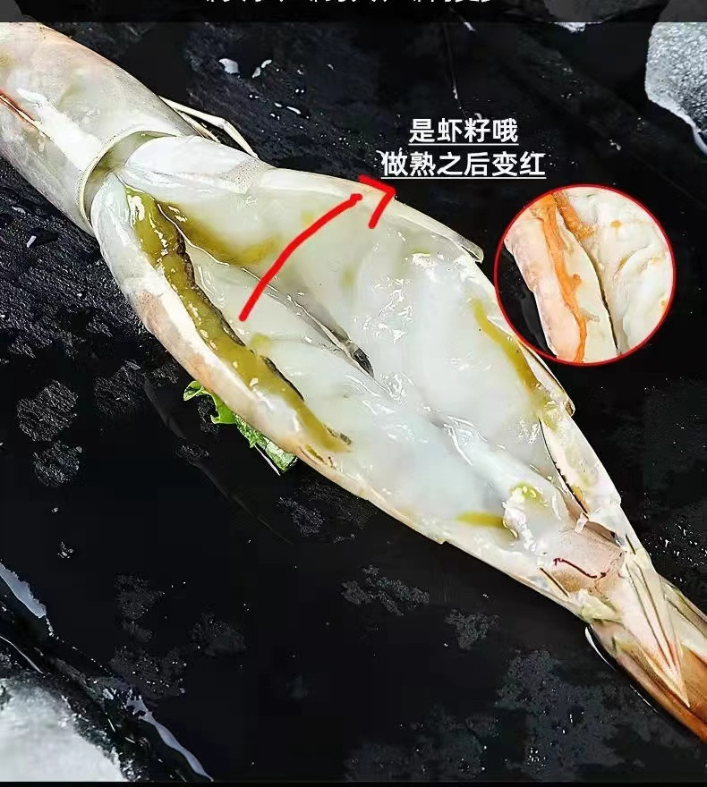 解府 活冻渤海对虾 1kg 32只