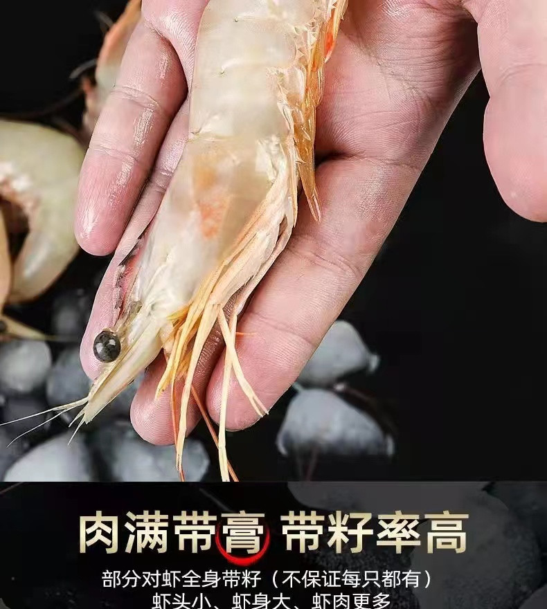 解府 活冻渤海对虾 1kg 32只