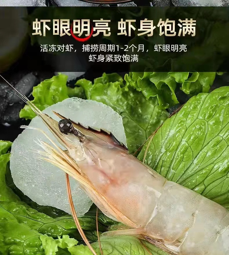 解府 活冻渤海对虾 1kg 32只