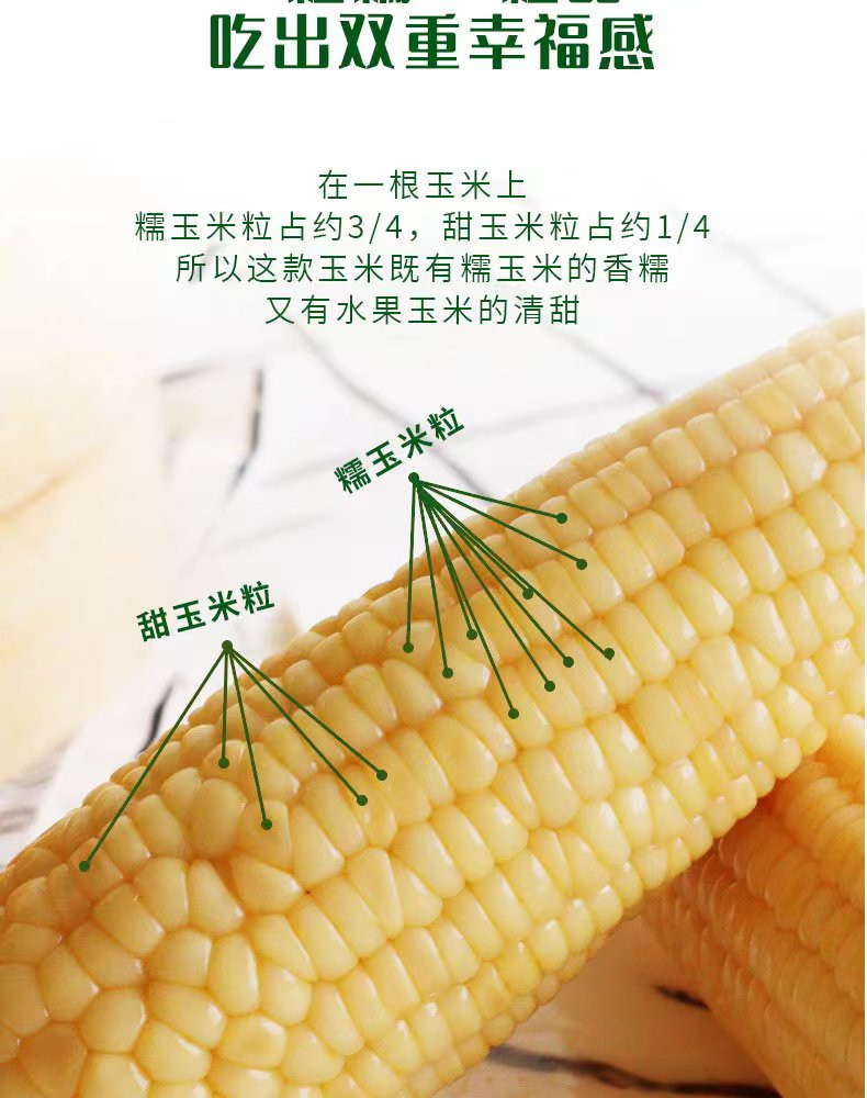 解府  高叶酸甜糯玉米礼盒 8根真空包装
