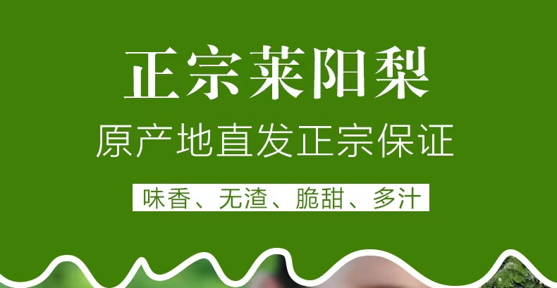 解府 正宗莱阳梨大果5斤装新鲜采摘