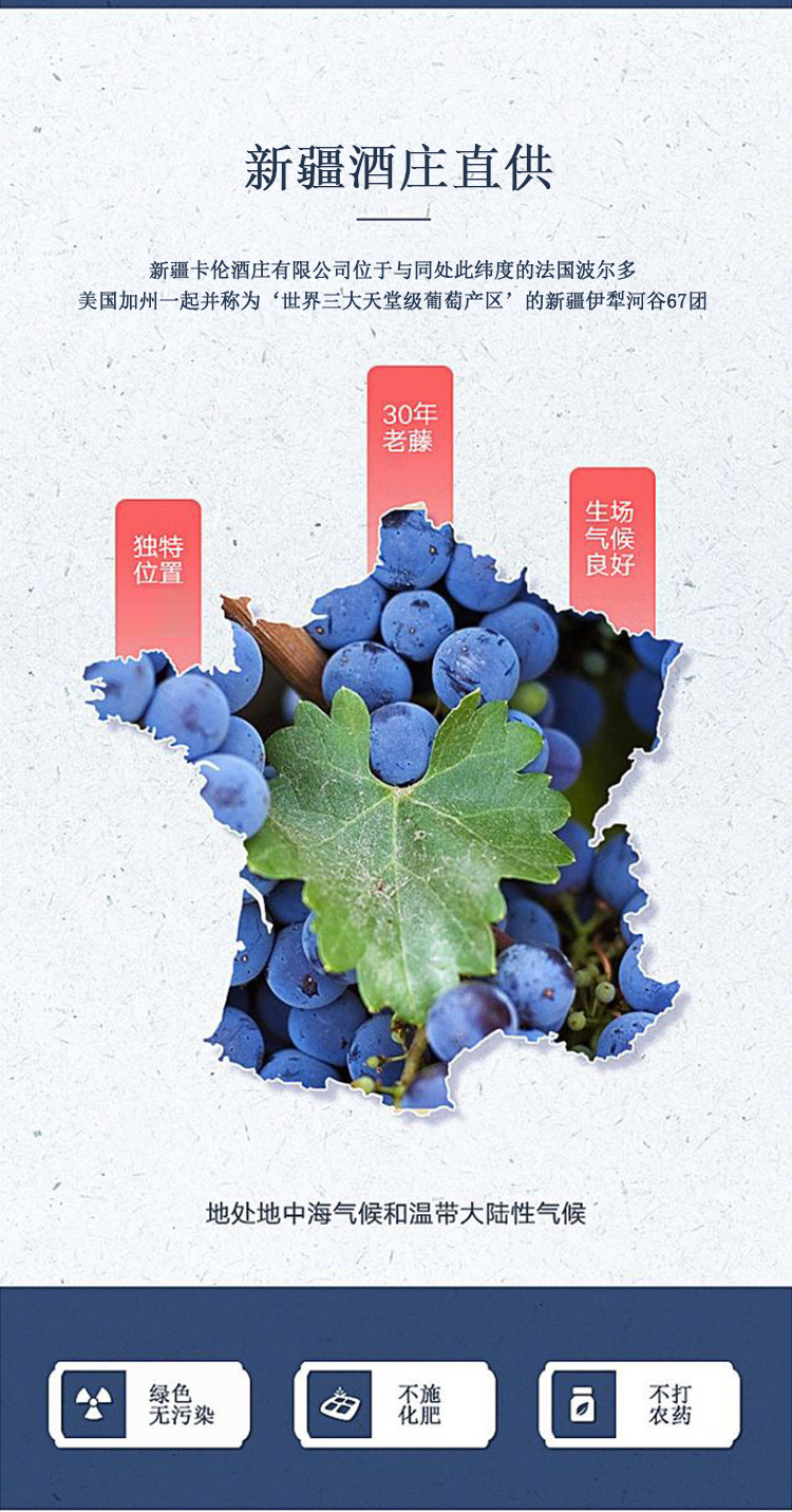 孝之道 养亲 窖藏橡木桶 陈酿赤霞珠干红葡萄酒750ml装 14.5°