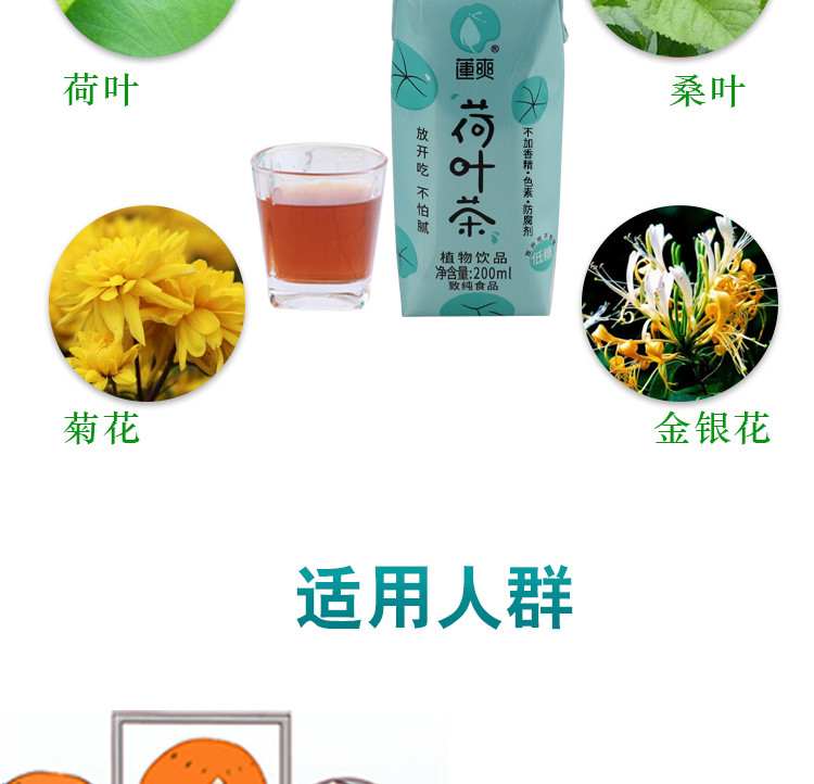 莲爽 【江西邮政】莲爽荷叶茶 金银花桑叶植物凉茶 200ml特惠夏日清爽低糖饮料整箱 200ml*6盒