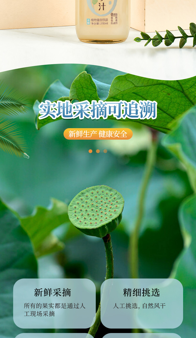 老俵情 莲子汁 广昌白莲鲜磨植物奶  230ml*6瓶装 230ml*6