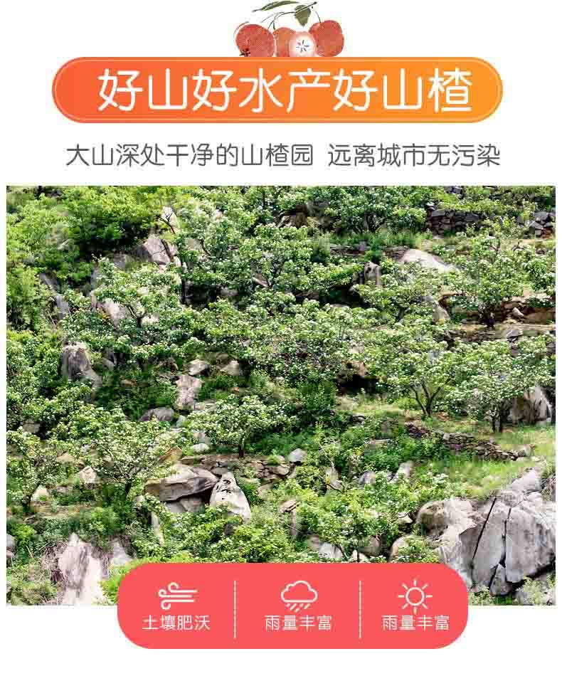 梨兜兜 （冠县）特级山楂果新鲜冰糖葫葫山里红果山楂3斤装