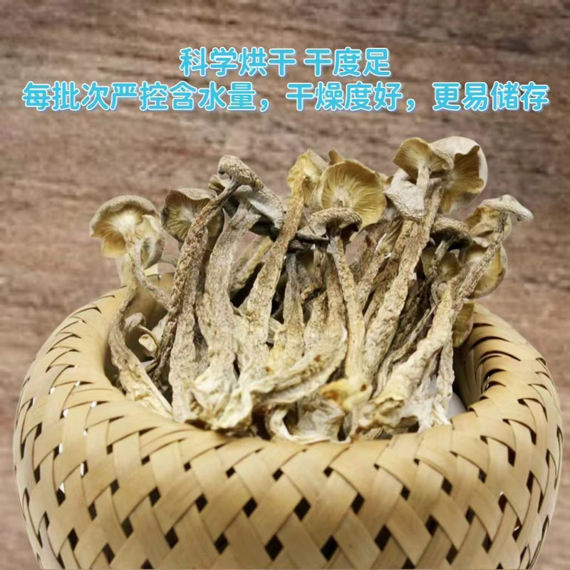 锋瑞 精选鹿茸菇干货特级新货无硫鹿茸菇新鲜美味250g-郏县菌菇