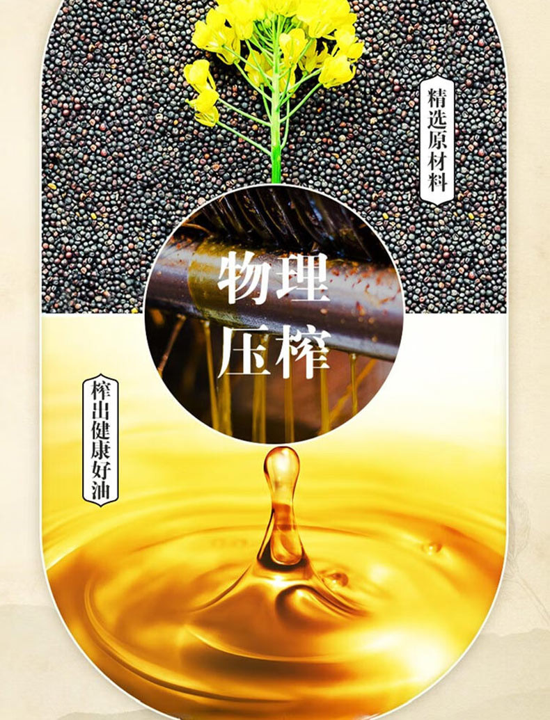 金龙鱼 压榨本香菜籽油非转基因4L