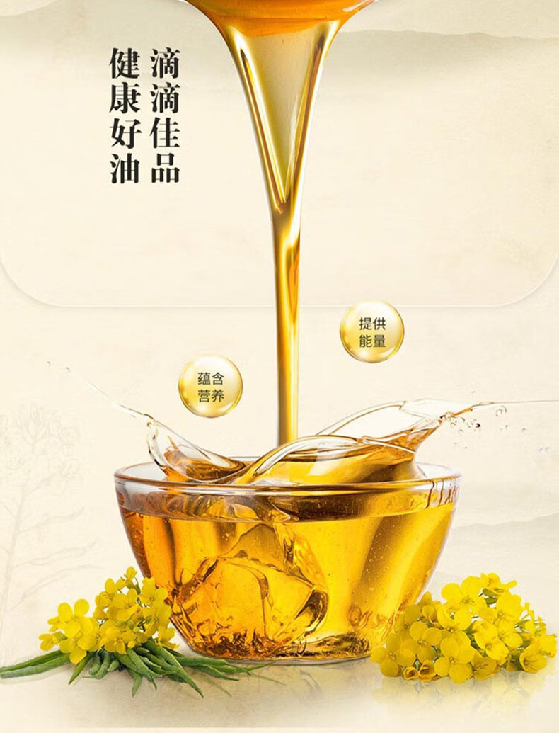 金龙鱼 压榨本香菜籽油非转基因4L