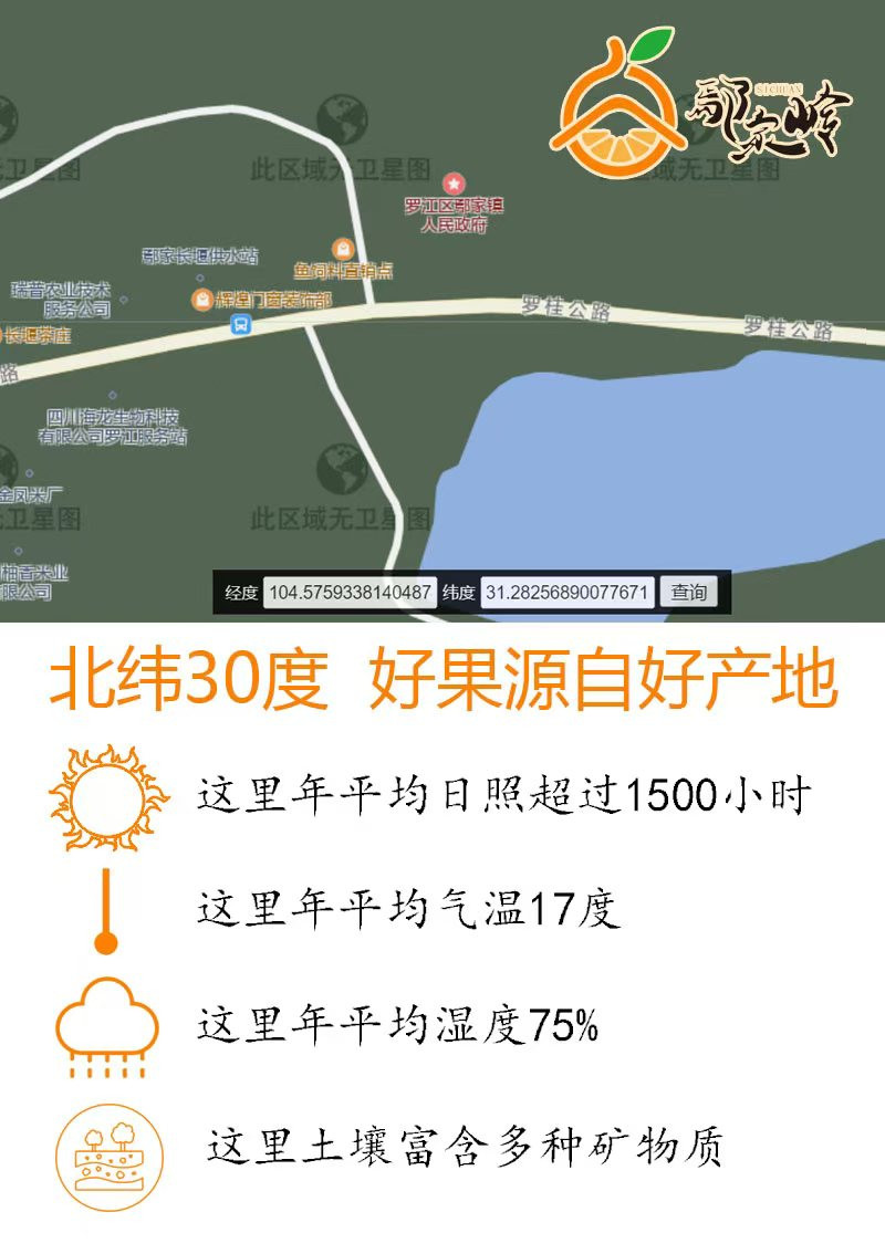 农家自产 【德阳邮政】罗江爱媛果冻橙带箱5斤多规格精品中大果