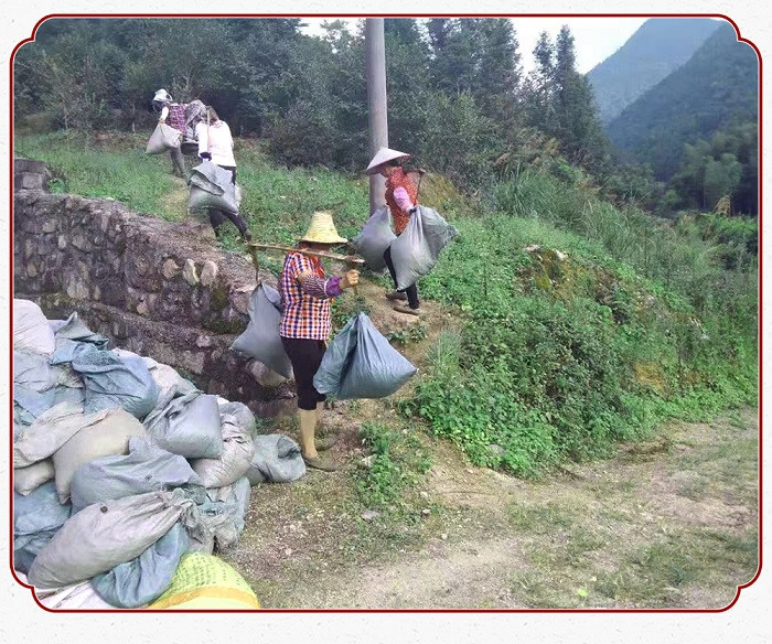 赣南五指峰 【上犹县惠农合作社】 上犹县赣南五指峰高山毛尖250g