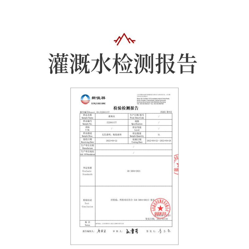 赣南五指峰 上犹五指峰 红茶清香型（200g礼盒装）