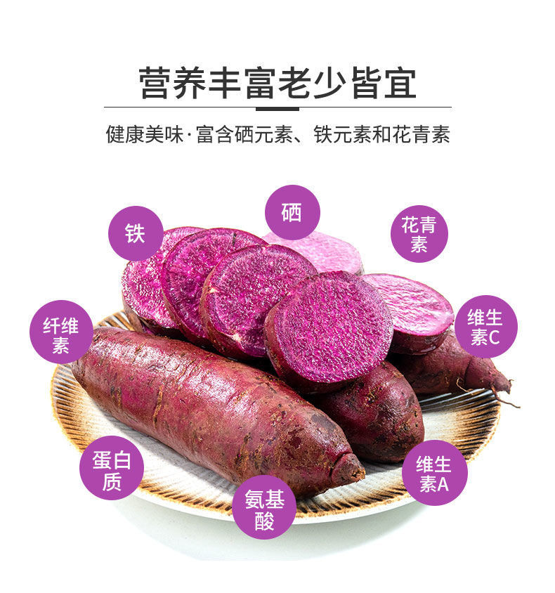 粤迎小紫薯 新鲜番薯 现挖红薯 地瓜 珍珠紫薯2/5/9斤装