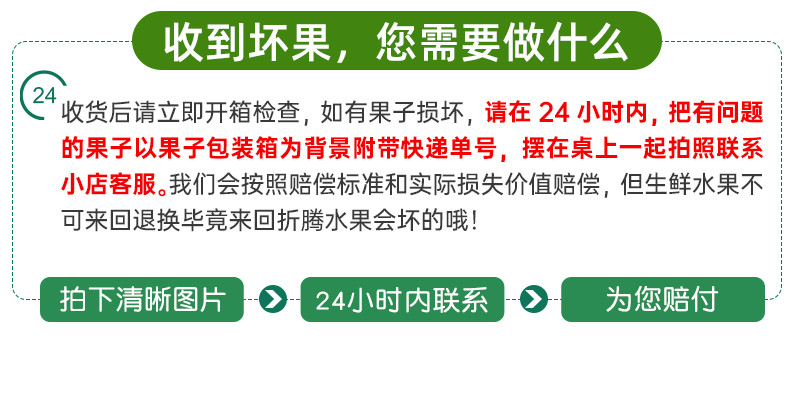 墨西哥进口牛油果 新鲜水果当季熟透即食鳄梨