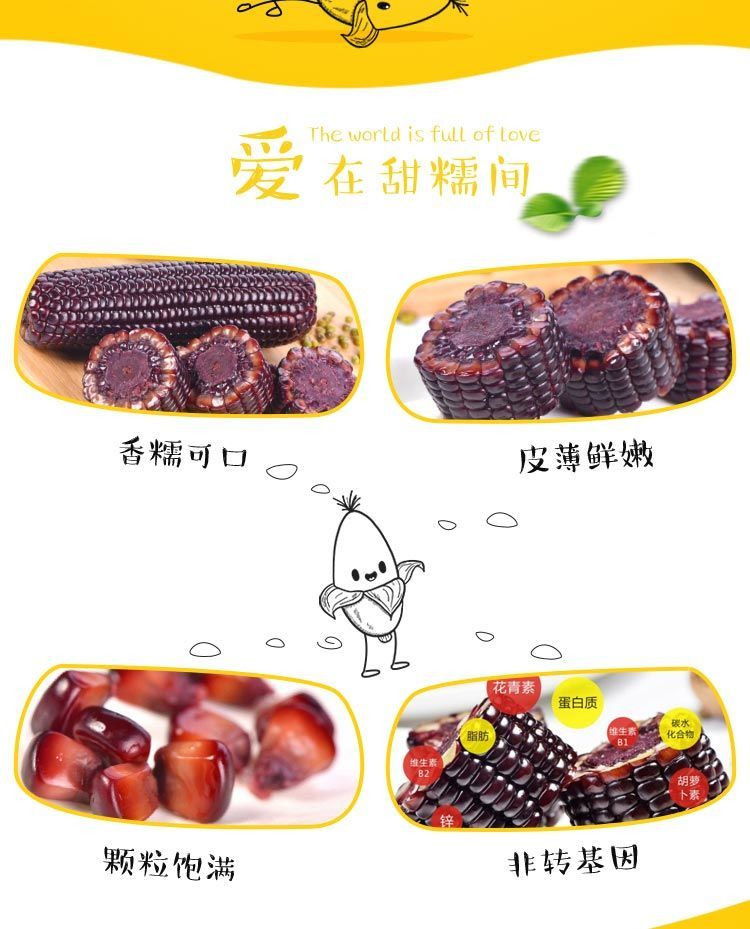 粤迎 东北黑糯玉米新鲜紫黏甜嫩苞米粒真空蔬菜4/8根可选