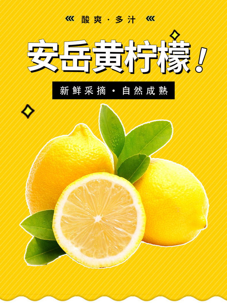 粤迎安岳黄柠檬 新鲜皮薄多汁酸水果1/3/5斤装可选