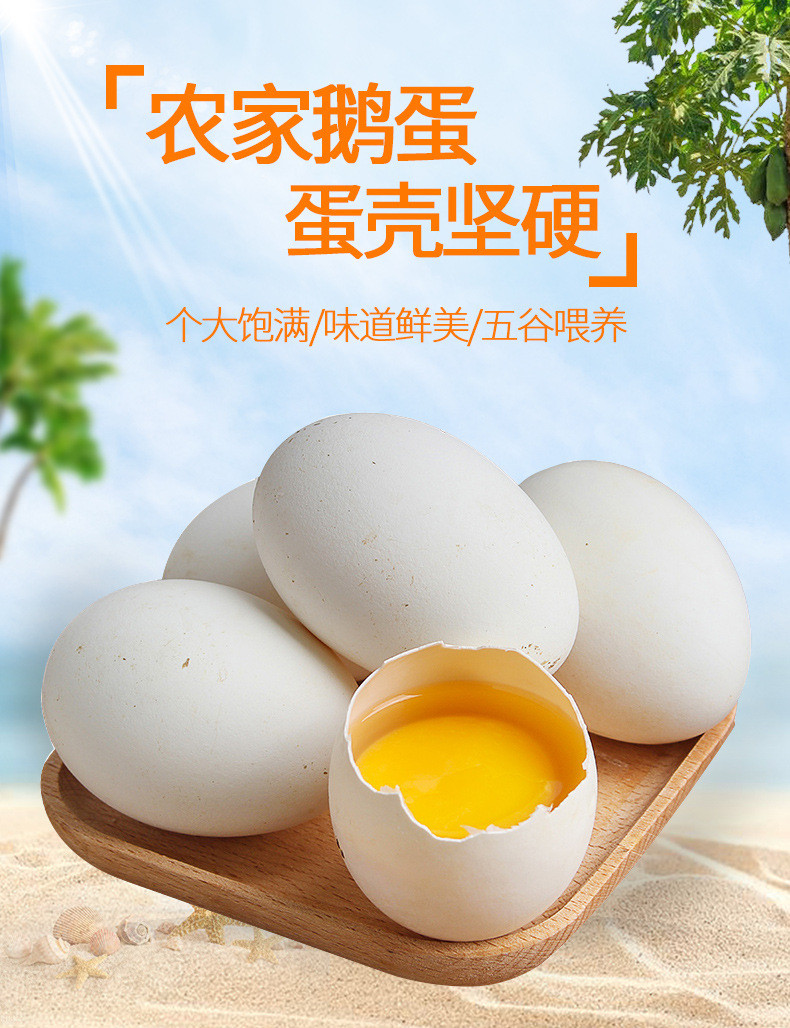 宛味宝【领劵减5元】新鲜鹅蛋新鲜农家散养生鹅蛋6/12枚可选